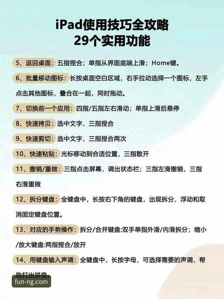 NG娱乐新手教程手机版 vs 电脑版：哪个更适合你入门？全面对比与选择指南